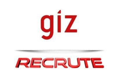 giz recrute