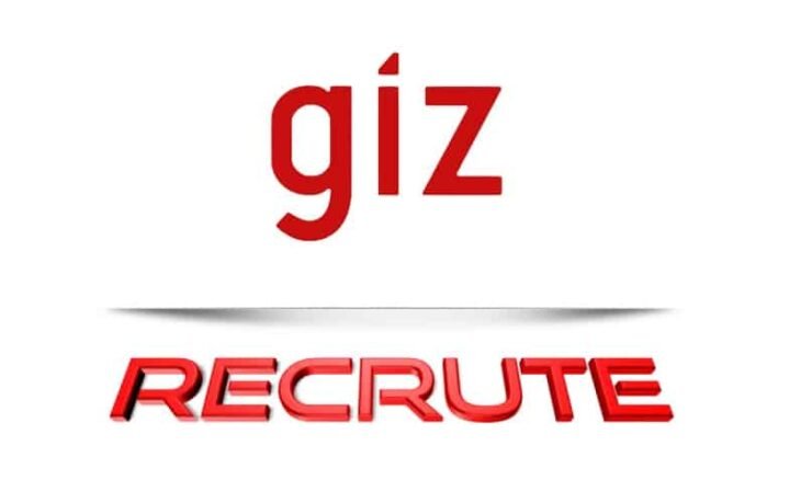 giz recrute