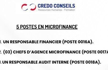 credo conseils recrute