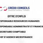 credo conseils recrute