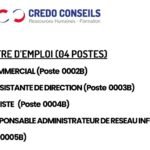 Credo conseils recrute