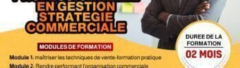 formation Professionnelle en Gestion Stratégique Commerciale