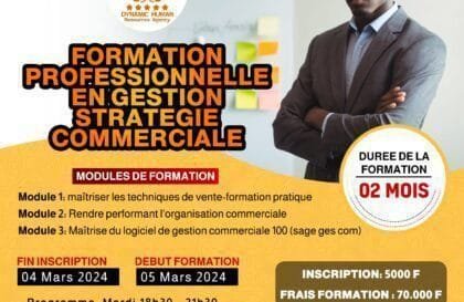 formation Professionnelle en Gestion Stratégique Commerciale