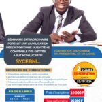 Séminaire de formation SYCEBNL