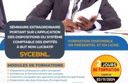 Séminaire de formation SYCEBNL