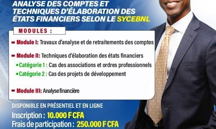 analyse des comptes et techniques élaboration des états financiers SYCEBNL