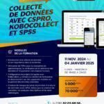 formation en collecte de données avec Cspro, Kobocollect et Spss