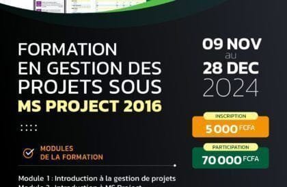 formation en gestion des projets sous ms project 2016