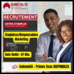 Stage et poste de responsable en marketing