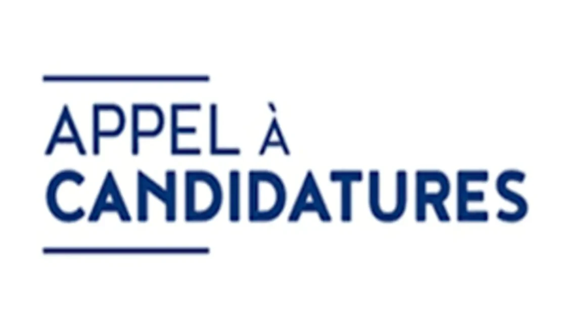 emploi togo appel à candidatures