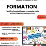 Planification strategique et operationnelle suivant lapproche programme