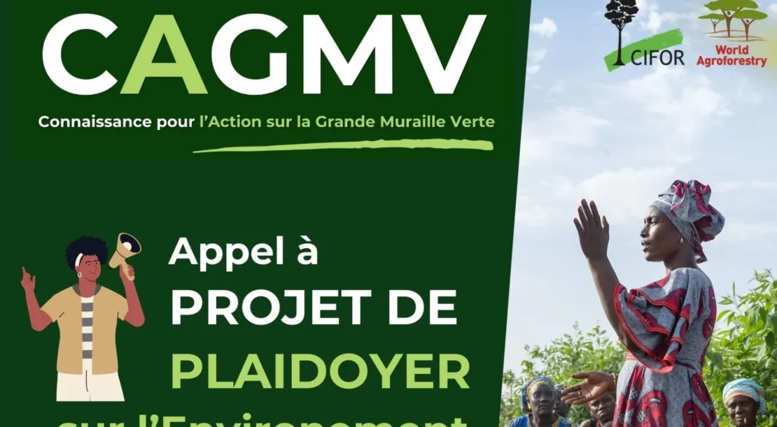 Connaissance pour l’Action Grande Muraille Verte - appel à projet