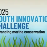 Défi Innovation Jeunesse