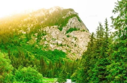 Fonds de Communication Climat