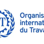 Organisation Internationale du Travail