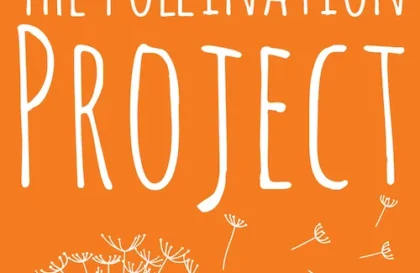Programme de subventions The Pollination Project
