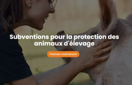 Subventions pour la protection des animaux d’élevage