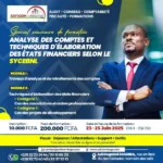 formation analyse des comptes -États financiers – SYCEBNL