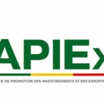 Agence APIEx