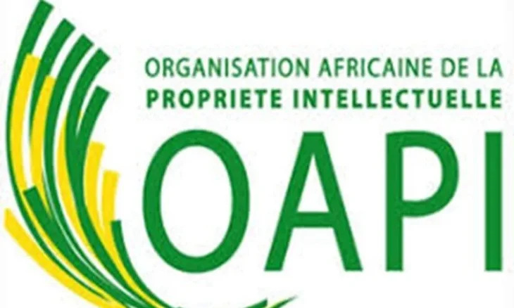 Organisation Africaine de la Propriété Intellectuelle