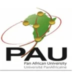 Université PanAfricaine