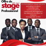 offre de stage cabinet 80-20
