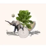 Appel à candidatures BID 2025