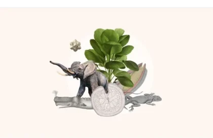 Appel à candidatures BID 2025