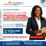 Séminaire sur le SYCEBNL